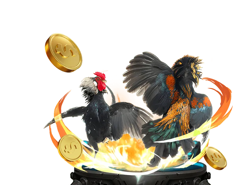 Tổng quan đấu gà trực tuyến tại x8bet với không khí sôi động